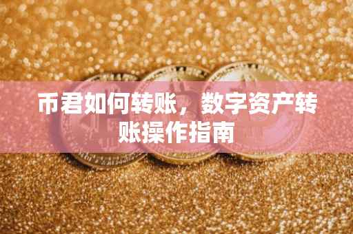 币君如何转账，数字资产转账操作指南