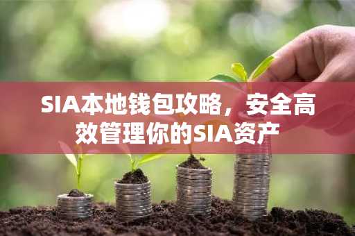 SIA本地钱包攻略，安全高效管理你的SIA资产