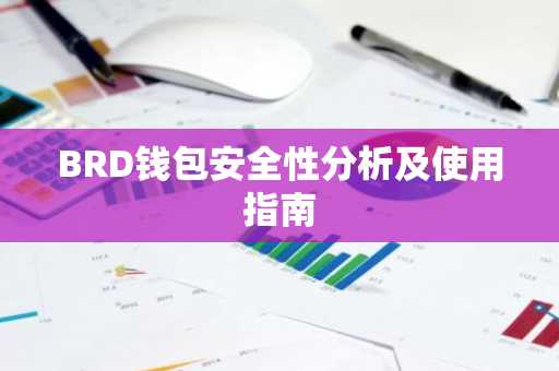 BRD钱包安全性分析及使用指南