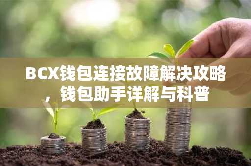 BCX钱包连接故障解决攻略，钱包助手详解与科普