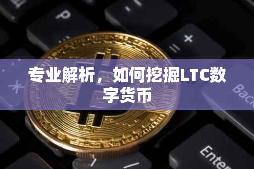 专业解析，如何挖掘LTC数字货币