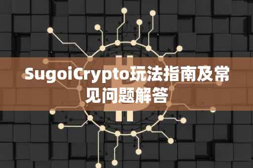 SugoiCrypto玩法指南及常见问题解答
