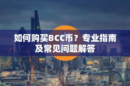 如何购买BCC币？专业指南及常见问题解答