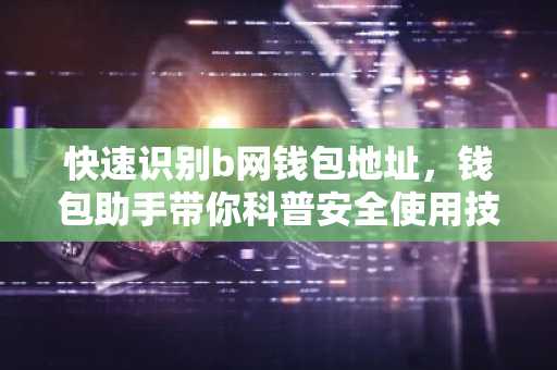 快速识别b网钱包地址，钱包助手带你科普安全使用技巧