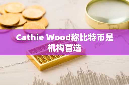 Cathie Wood称比特币是机构首选