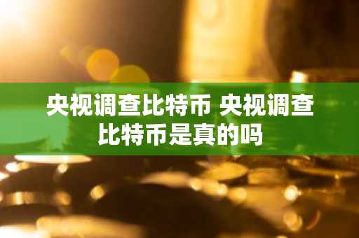 央视调查比特币 央视调查比特币是真的吗