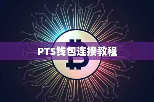 PTS钱包连接教程