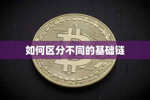 如何区分不同的基础链