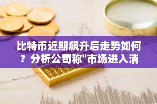 比特币近期飙升后走势如何？分析公司称"市场进入消化期"