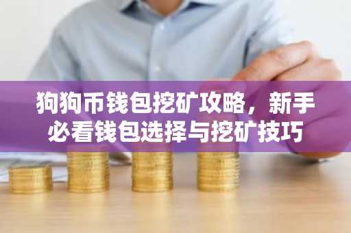 狗狗币钱包挖矿攻略，新手必看钱包选择与挖矿技巧