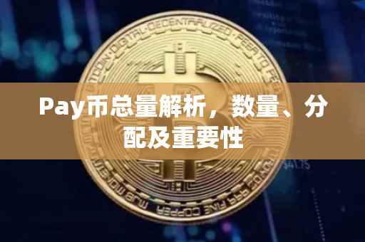 Pay币总量解析，数量、分配及重要性