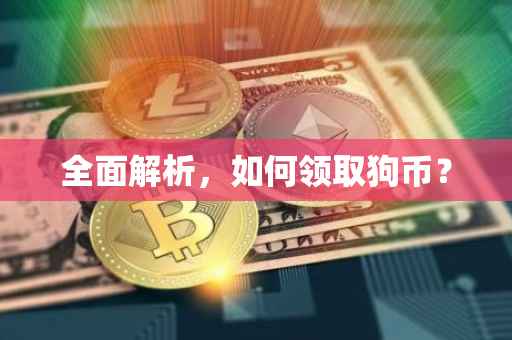 全面解析，如何领取狗币？