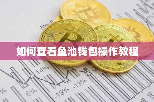 如何查看鱼池钱包操作教程