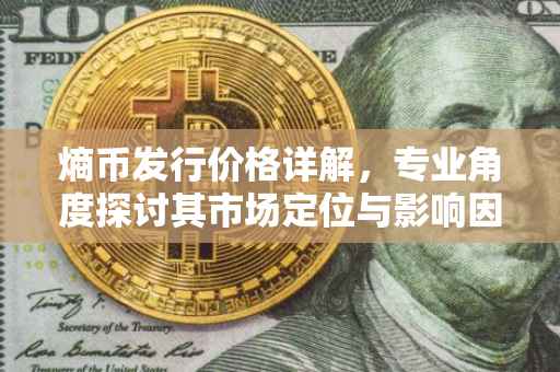 熵币发行价格详解，专业角度探讨其市场定位与影响因素
