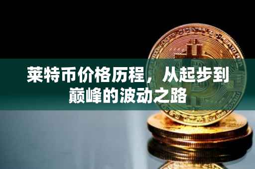 莱特币价格历程，从起步到巅峰的波动之路