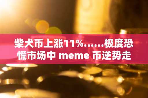 柴犬币上涨11%……极度恐慌市场中 meme 币逆势走强引关注