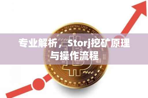 专业解析，Storj挖矿原理与操作流程
