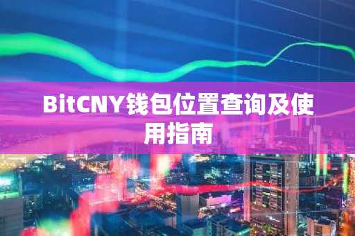 BitCNY钱包位置查询及使用指南