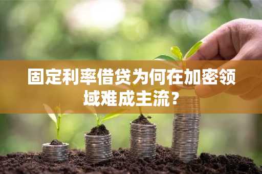 固定利率借贷为何在加密领域难成主流？