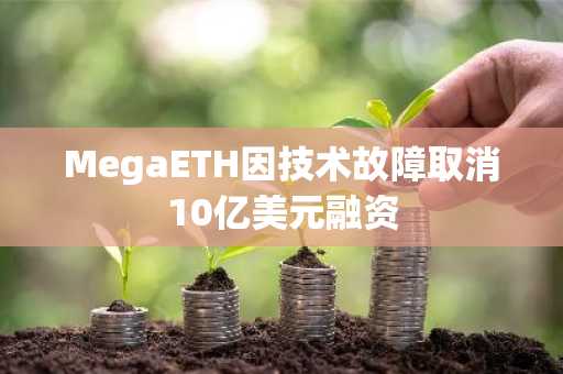 MegaETH因技术故障取消10亿美元融资