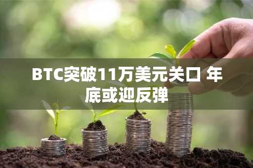 BTC突破11万美元关口 年底或迎反弹