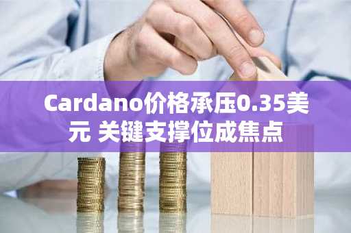 Cardano价格承压0.35美元 关键支撑位成焦点