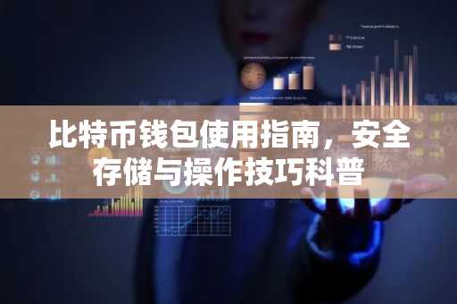 比特币钱包使用指南，安全存储与操作技巧科普