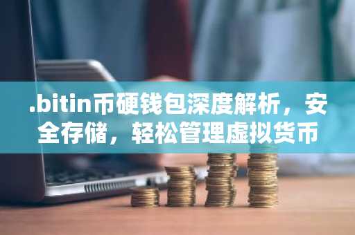.bitin币硬钱包深度解析，安全存储，轻松管理虚拟货币