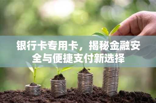 银行卡专用卡，揭秘金融安全与便捷支付新选择