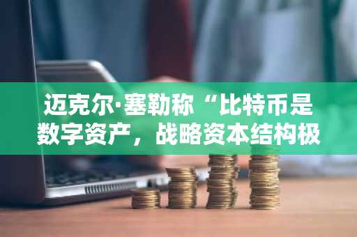 迈克尔·塞勒称“比特币是数字资产，战略资本结构极其稳健”
