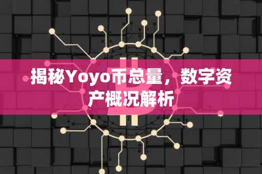 揭秘Yoyo币总量，数字资产概况解析