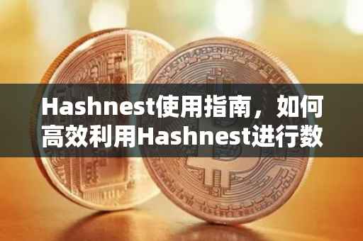 Hashnest使用指南，如何高效利用Hashnest进行数据存储与检索