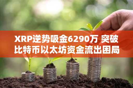 XRP逆势吸金6290万 突破比特币以太坊资金流出困局