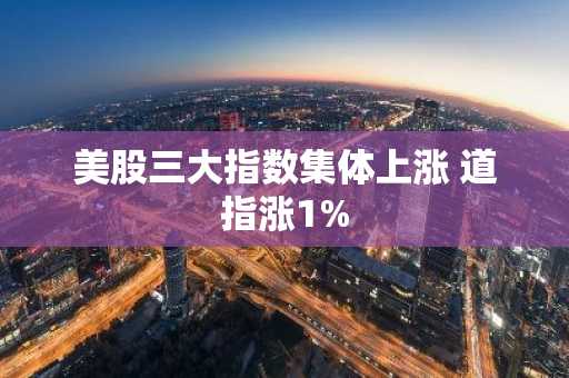 美股三大指数集体上涨 道指涨1%