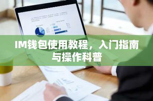 IM钱包使用教程，入门指南与操作科普