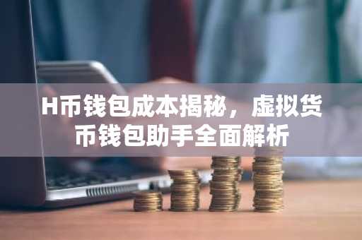 H币钱包成本揭秘，虚拟货币钱包助手全面解析