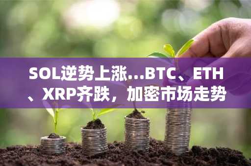 SOL逆势上涨…BTC、ETH、XRP齐跌，加密市场走势分化