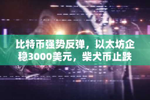 比特币强势反弹，以太坊企稳3000美元，柴犬币止跌企稳