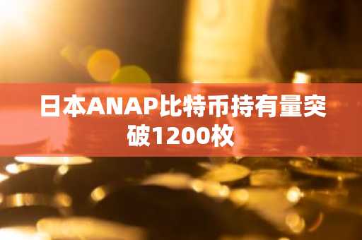 日本ANAP比特币持有量突破1200枚