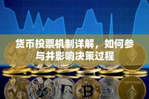 货币投票机制详解，如何参与并影响决策过程