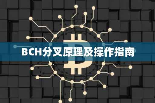 BCH分叉原理及操作指南