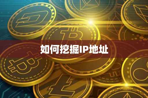 如何挖掘IP地址
