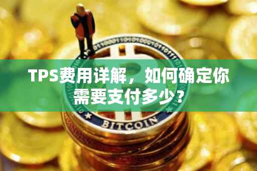 TPS费用详解，如何确定你需要支付多少？