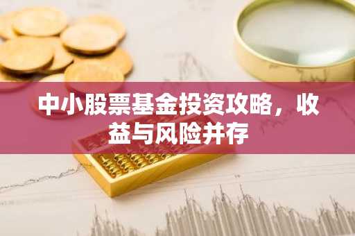 中小股票基金投资攻略，收益与风险并存