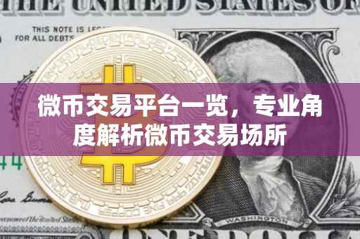微币交易平台一览，专业角度解析微币交易场所