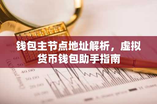 钱包主节点地址解析，虚拟货币钱包助手指南