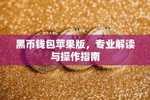 黑币钱包苹果版，专业解读与操作指南