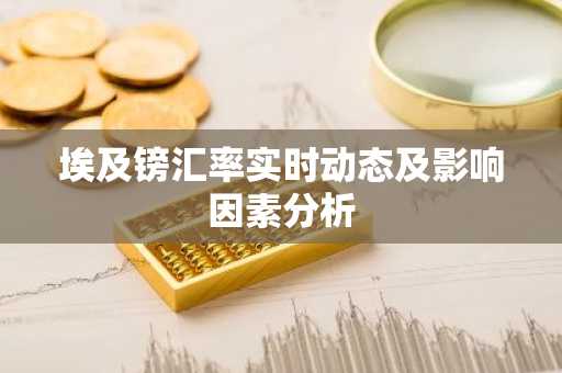 埃及镑汇率实时动态及影响因素分析