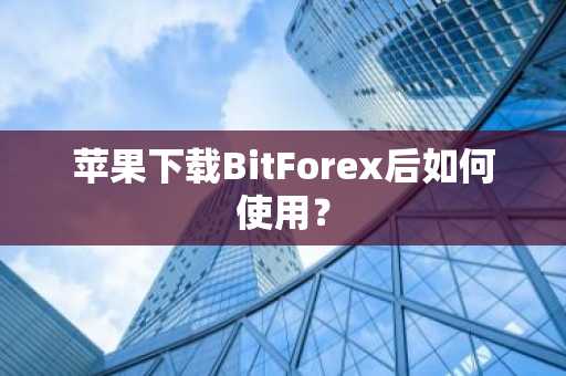 苹果下载BitForex后如何使用？