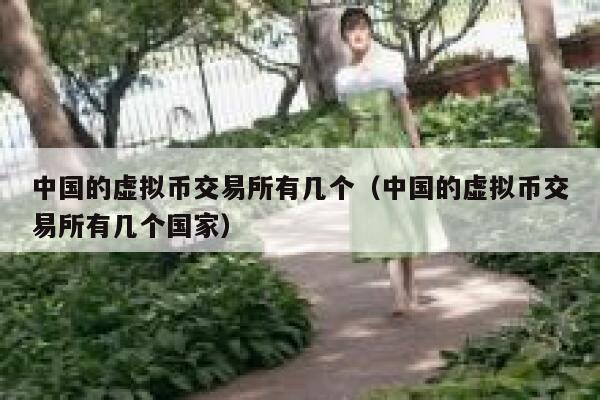 中国的虚拟币交易所有几个（中国的虚拟币交易所有几个国家）